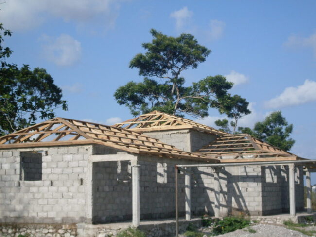 SDC10006